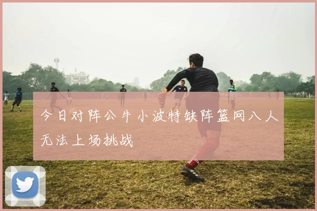 今日对阵公牛小波特缺阵篮网八人无法上场挑战