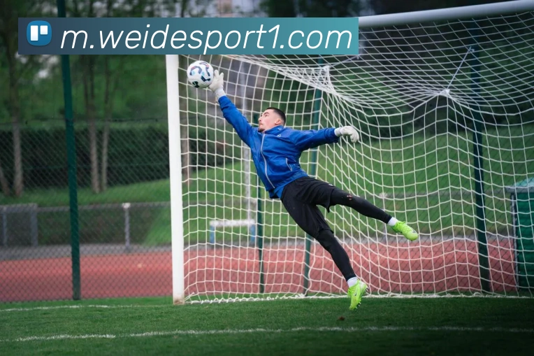 伟德体育发展历程